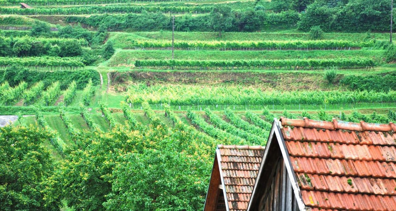 Weingut Jakob'S Ruhezeit Mautern Exterior photo